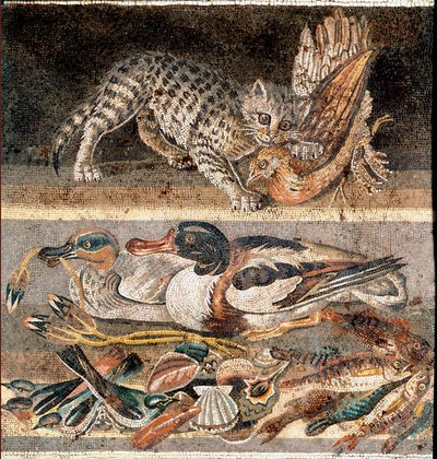 Sztuka rzymska: kot jedzący kuropatwę i dzikie kaczki Pierwsza połowa I pne) Rzym, Museo Nazionale Romano autorstwa Roman
