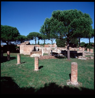 Sztuka rzymska: widok ruin Campo della Magna Mater, region IV autorstwa Roman