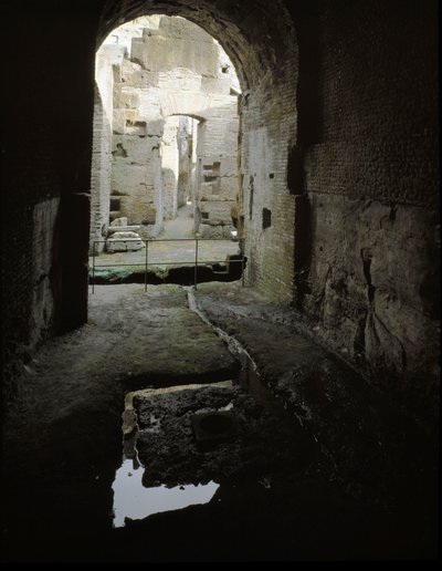 Sztuka rzymska: widok podziemnych korytarzy Koloseum (Colosseo) w Rzymie, Włochy autorstwa Roman