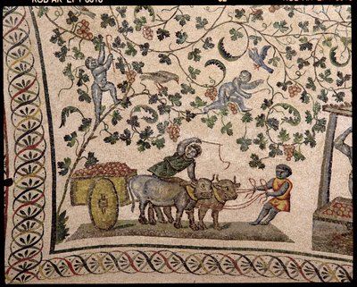 Winogron (mozaika) autorstwa Roman