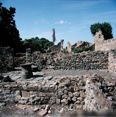 Widok zrujnowanych domów autorstwa Roman