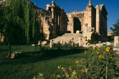 Świątynia Bachusa, detal, okres Wielkiego Cesarstwa (27 pne-395 ne) autorstwa Roman Imperial Period