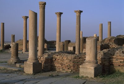 Widok na bibliotekę, ok. 100 r. n.e., Okres Wysokiego Cesarstwa (27 p.n.e.-395 r. n.e.) autorstwa Roman Imperial Period