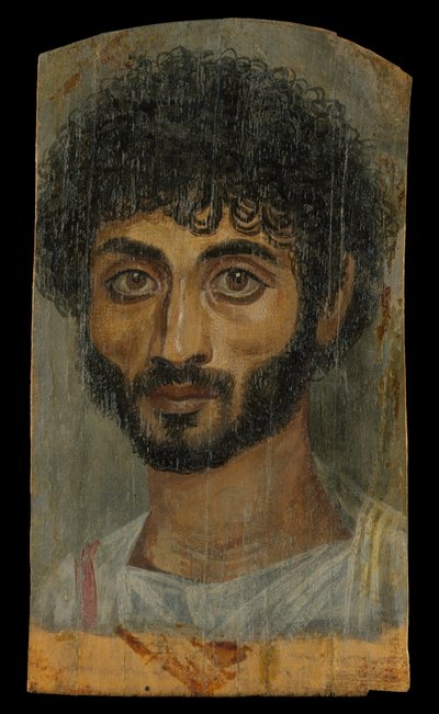 Portret brodatego mężczyzny o cienkiej twarzy, 160-180 ne (enkaustyka, drewno lipowe) autorstwa Roman Period Egyptian