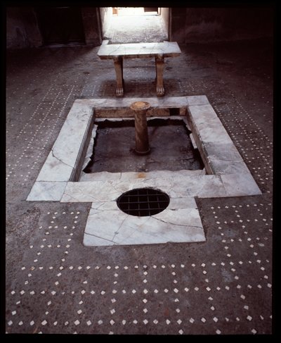 Atrium Domu z Drewnianą Przegrodą, V wpne-I wne autorstwa Roman Roman