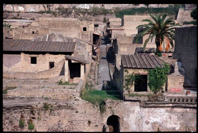 Cardo IV, V wiek pne-I wiek AD autorstwa Roman Roman