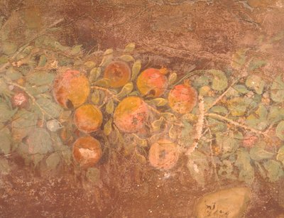 Fragment fresku z dekoracją kwiatów i owoców z rzymskiej willi Boscoreale (Neapol), cywilizacja rzymska autorstwa Roman Roman