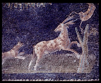 Fragment mozaik ściennych nimfeum z casa di Nettuno e Anfitrite, V wpne-I wne autorstwa Roman Roman