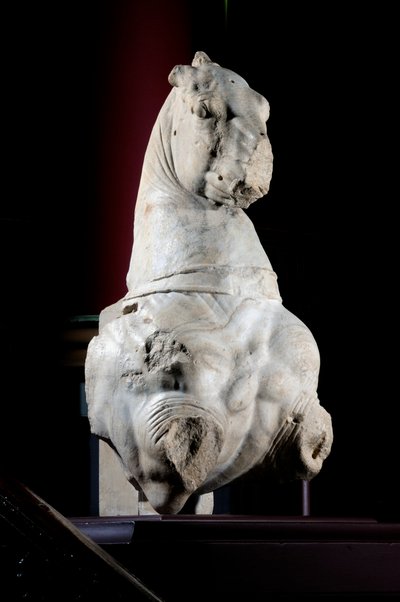 Przednia część konia (marmur) (patrz także 371182 i 371183) autorstwa Roman Roman
