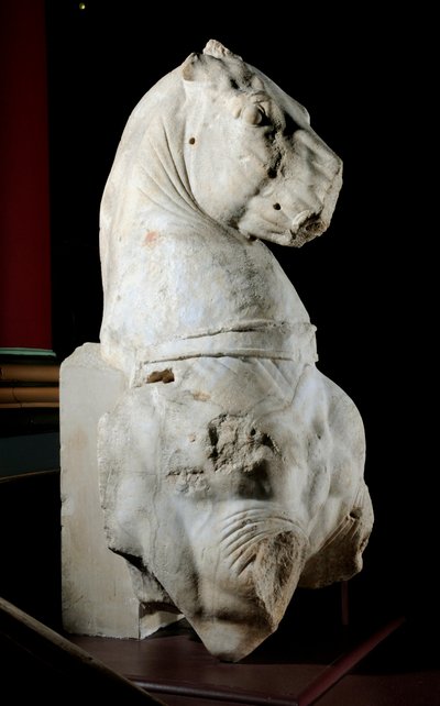 Przednia część konia (marmur) (patrz również 371183 i 371184) autorstwa Roman Roman
