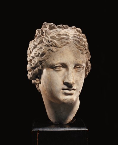 Głowa Wenus, ok. I-II wne (marmur) autorstwa Roman Roman
