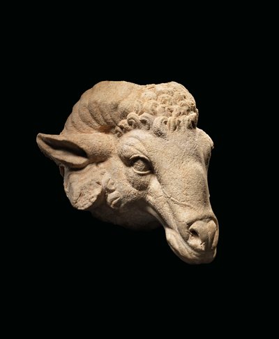 Głowa barana, ok. I wpne - I wne (marmur) autorstwa Roman Roman