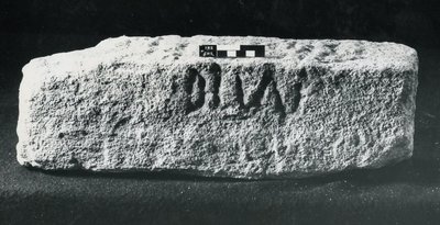 Wpisany kamień stulecia (kamień) autorstwa Roman Roman