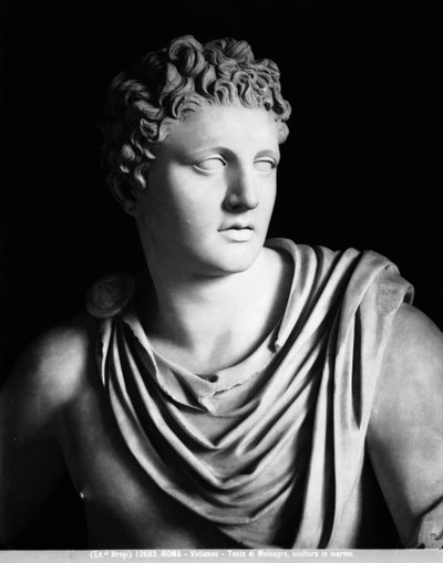 Meleagris (detal), rzymska kopia oryginału autorstwa Scopas autorstwa Roman Roman