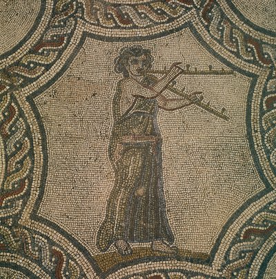 Mozaika przedstawiająca flecistkę z Domu Dionizosa, w Volubilis, Maroko, cywilizacja rzymska, autorstwa Roman Roman