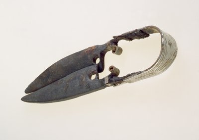 Para nożyc (brąz) autorstwa Roman Roman