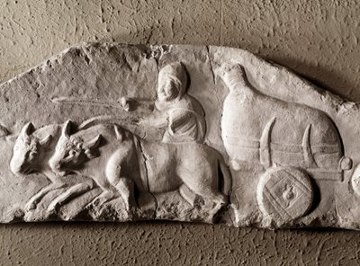 Sztuka rzymska: rzeźbiony czołg wołowy, Muzeum Starożytności Rzymskich, Rzym autorstwa Roman Roman