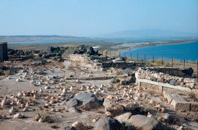 Widok strony miasta Tharros, starożytnego portu punicko-romskiego, założonego przez Fenicjan na Sardynii we Włoszech autorstwa Roman Roman