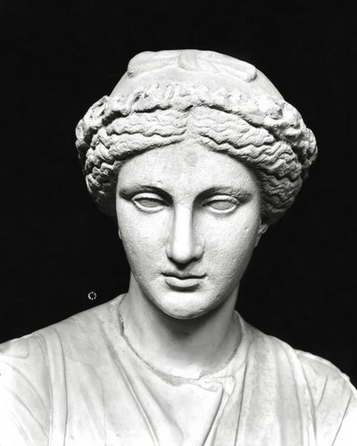 Posąg Clio trzymający zwój, detal głowy (kamień) (zdjęcie czarno-białe) (patrz także 161938) autorstwa Roman Roman