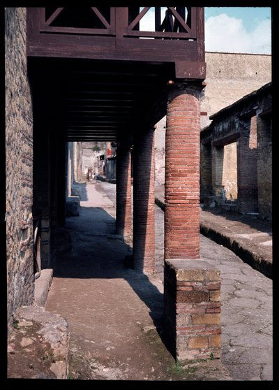 Ulica, V wpne-I wne autorstwa Roman Roman