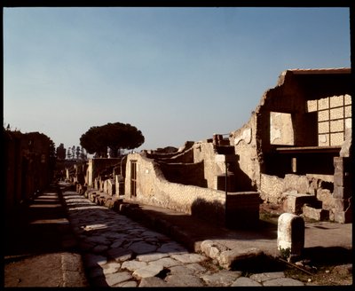 Widok Decumanusa Maximusa, V wpne-I wne autorstwa Roman Roman