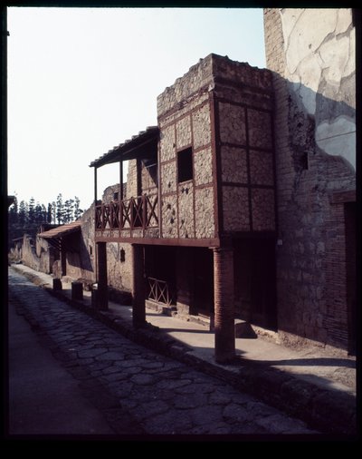 Widok domu, V wpne-I wne autorstwa Roman Roman