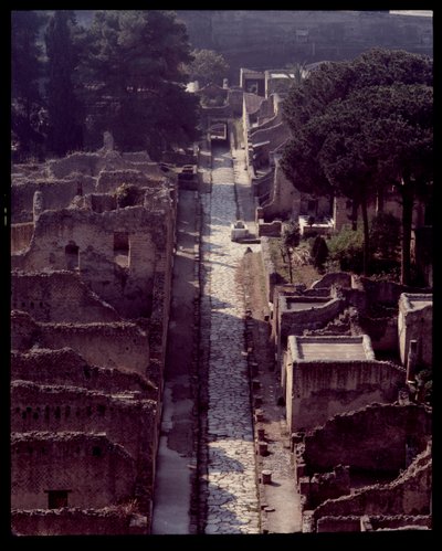 Widok cardo V, V wpne-I wne autorstwa Roman Roman