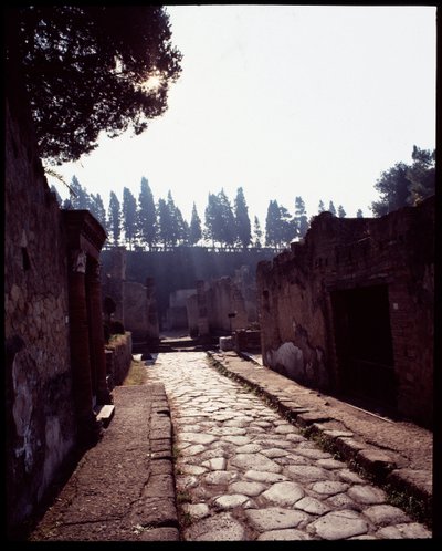 Widok cardo V, V wpne-I wne autorstwa Roman Roman