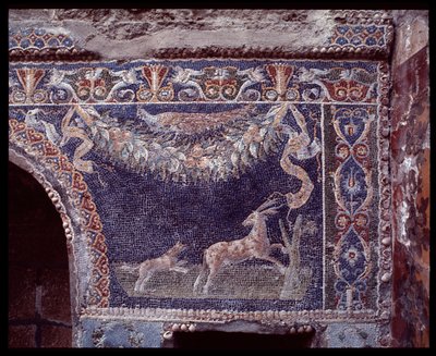 Mozaiki ścienne nimfeum domu Nettuno e Amphitrite, miejsce Herkulanum, V wpne-I wne autorstwa Roman Roman