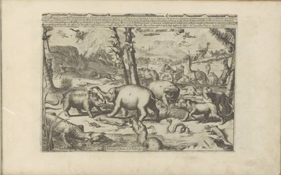 Dieren aziatische en Afrikaanse Aziatische en Afrikaanse dieren / Zwierzęta Azji i Afryki (tytuł na obiekcie) Indie Wschodnie i Zachodnie oraz inne miejsca (tytuł serii) autorstwa Romeyn de Hooghe