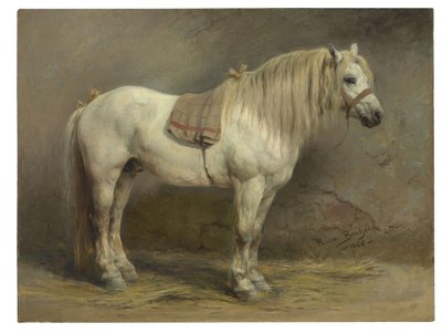 Biały koń autorstwa Rosa Bonheur