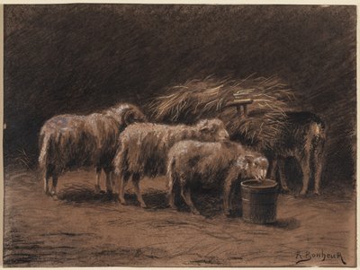 Kilka owiec i baran w stajni autorstwa Rosa Bonheur