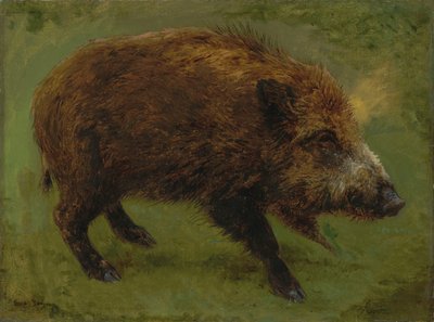 Francuski:  Le sanglier Dzik autorstwa Rosa Bonheur
