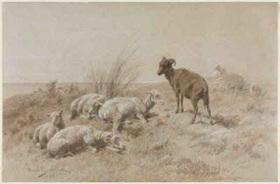 Owce autorstwa Rosa Bonheur