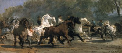 Studium dla Horsemarket, 1852-54 autorstwa Rosa Bonheur