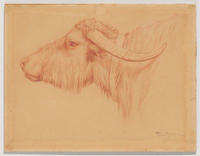  autorstwa Rosa Bonheur