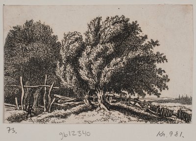 Krajobraz autorstwa Rosalie Holm