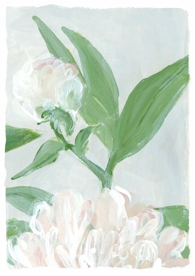 Delikatne kwiaty piwonii autorstwa Rosana Laiz Blursbyai