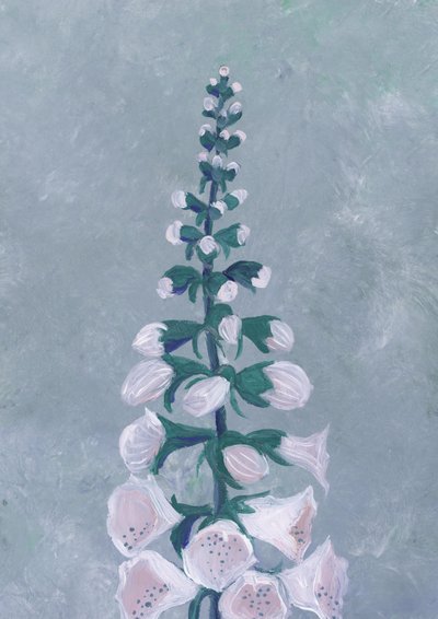 Kwiat białej naparstnicy autorstwa Rosana Laiz Blursbyai