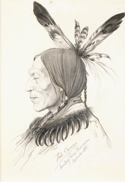 Heu-Topa, Cztery Rogi lub Jagoo, Opowiadacz, Wódz Hunkpapa Sioux autorstwa Rudolf Cronau