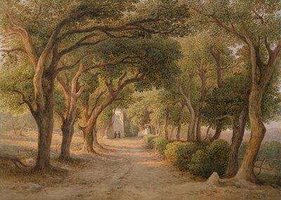 Castel Gandolfo (akwarela na papierze) autorstwa Rudolf Müller