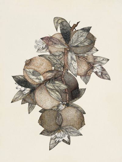  autorstwa Rufus King