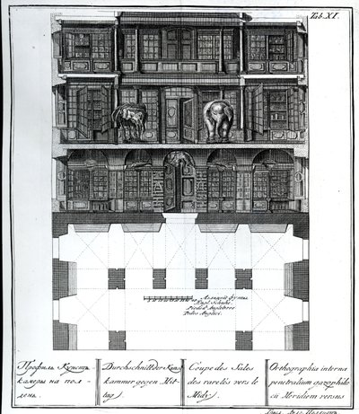 Przekrój Sali Rarytasów w kierunku południowym, ilustracja w Komnatach Biblioteki i Galerii Cesarskiej Akademii Nauk w Petersburgu przedstawiająca plany, fasady i profile autorstwa Johanna autorstwa Russian School