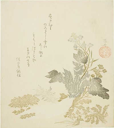 Olbrzymia Rzodkiewka (daikon), Chryzantemy i Paprocie autorstwa Ryuryukyo Shinsai