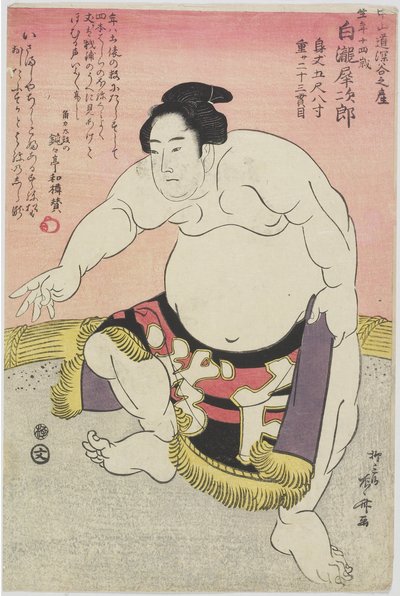 Tesmo _ Wre ster Shirataki Noodles _ autorstwa Ryuryukyo Shinsai