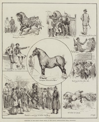 Szkice na Shire Horse Show, w Royal Agricultural Hall, Islington autorstwa S.T. Dadd
