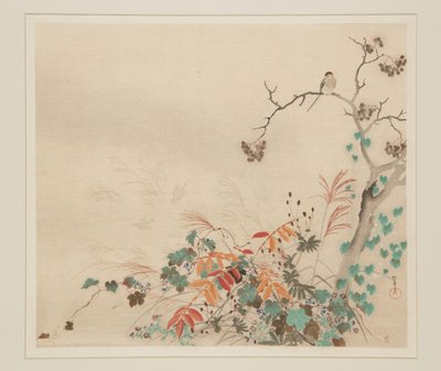 Hawk on Plants (kolorowy drzeworyt) autorstwa Sakai Hoitsu