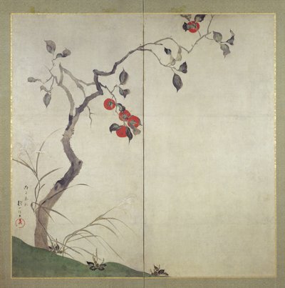 Persimmon on Tree (atrament, kolory i złoto na papierze) autorstwa Sakai Hoitsu