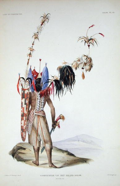 Wojownik Wyspy Solora, z „Dyskursów o historii naturalnej holenderskich posiadłości zamorskich”, tom I, autorstwa Coenraada Jacoba Temmincka, grawerowane przez J.M. Kierdorff, wydana 1839-44 (litografia kolorowa) autorstwa Salomon and Bruining T.C. (after) Muller