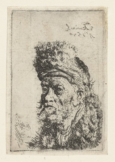 Popiersie mężczyzny w futrzanej czapce Popiersie mężczyzny w turbanie autorstwa Salomon Koninck